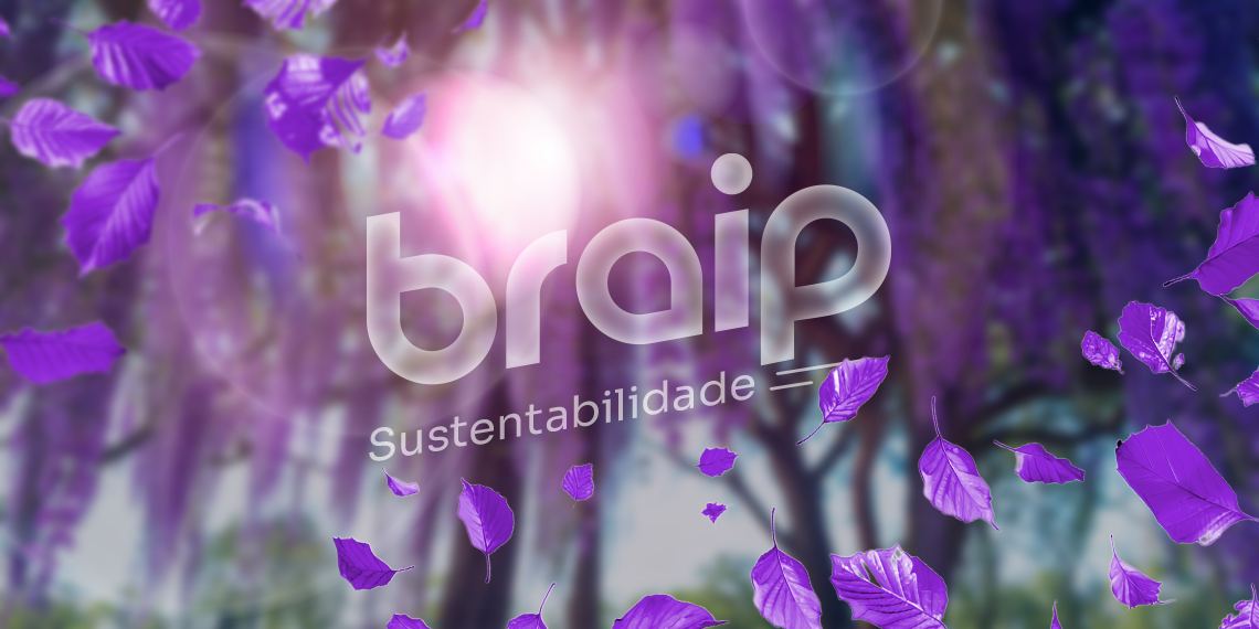 Braip & Sustentabilidade